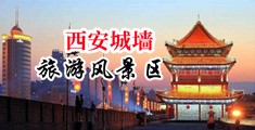 大鸡吧搞少妇B视频网站中国陕西-西安城墙旅游风景区